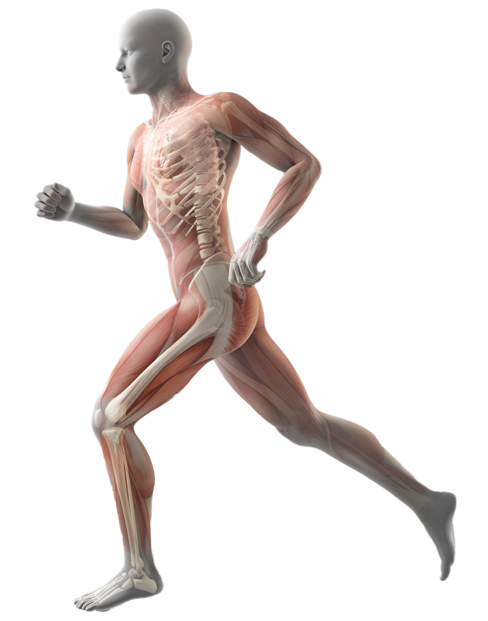 Shockwave Therapy lp - Westport Chiropractic and Rehab